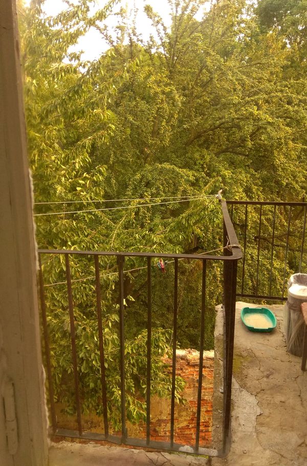 дом с привидениями