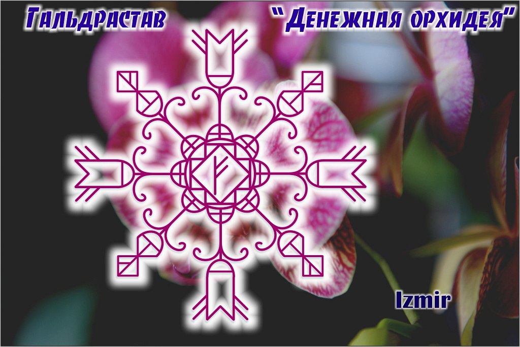 denegnaya-orhideja-izmir