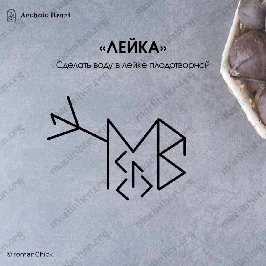 Рунический энергетический став 