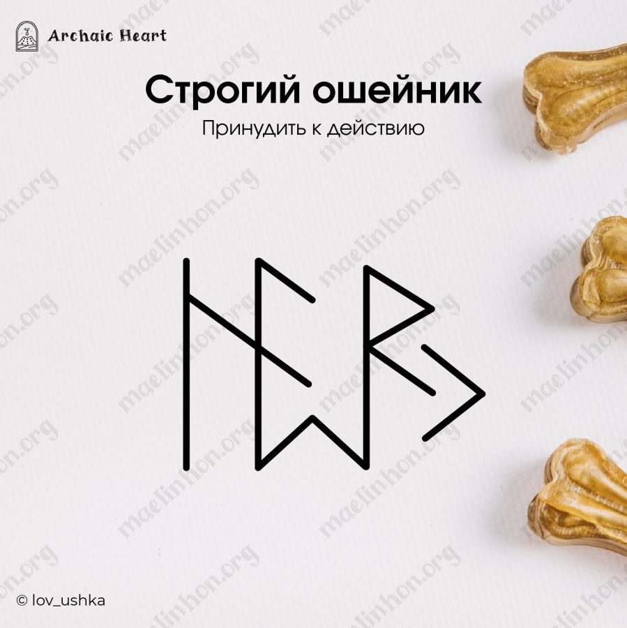 руническая став - принуждение