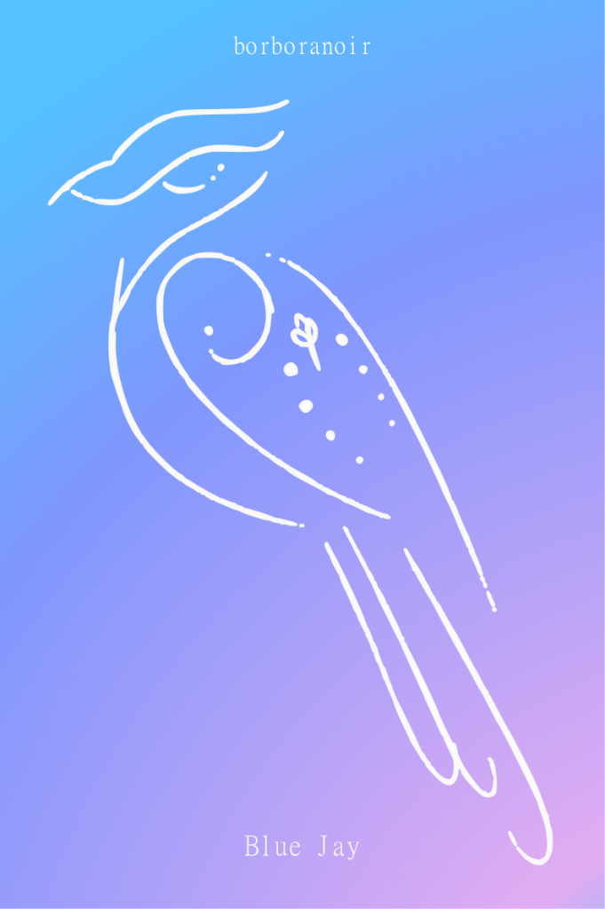 Голубая сойка