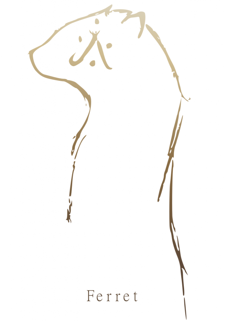 хорек сигила