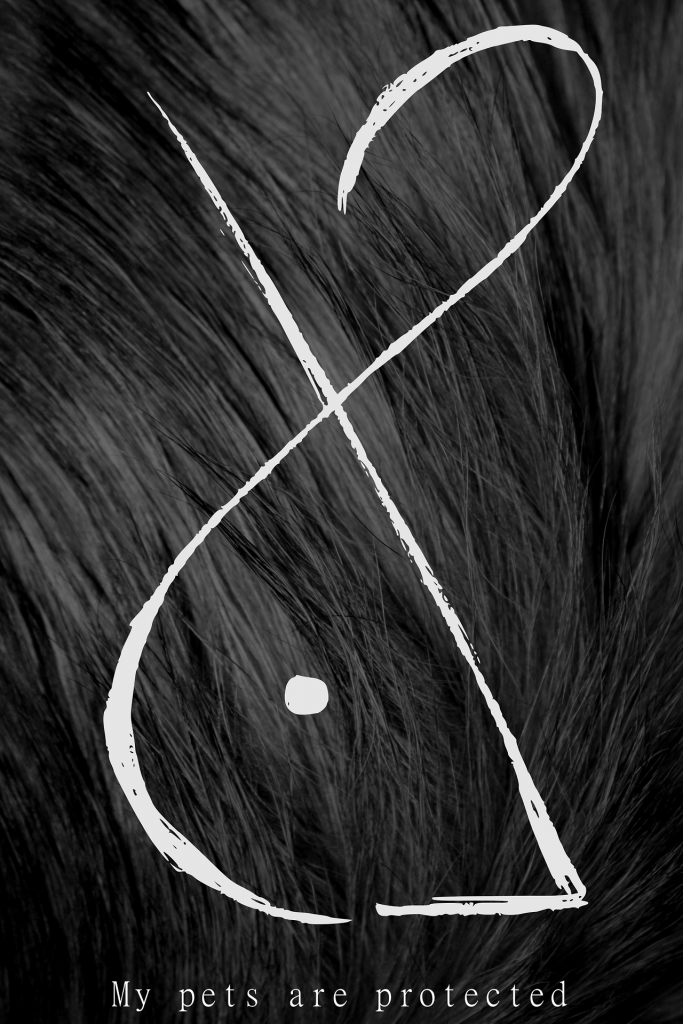 защита питомца