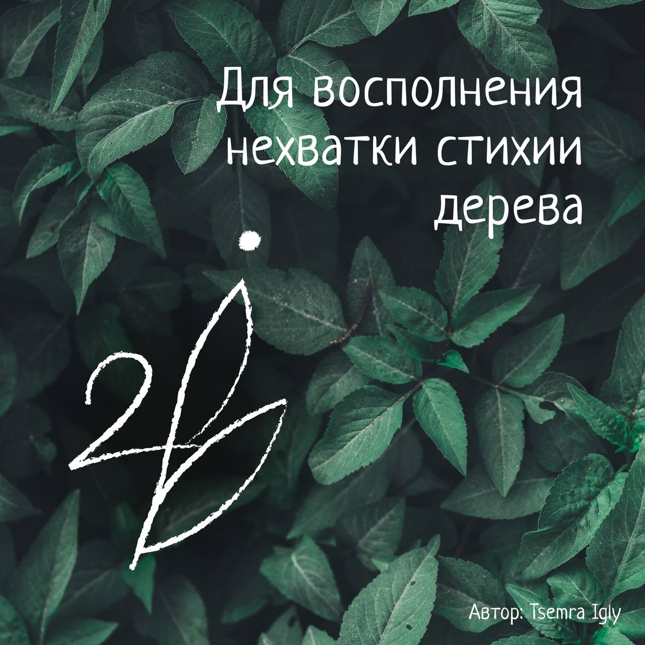 Сигила стихии дерева Юпитер