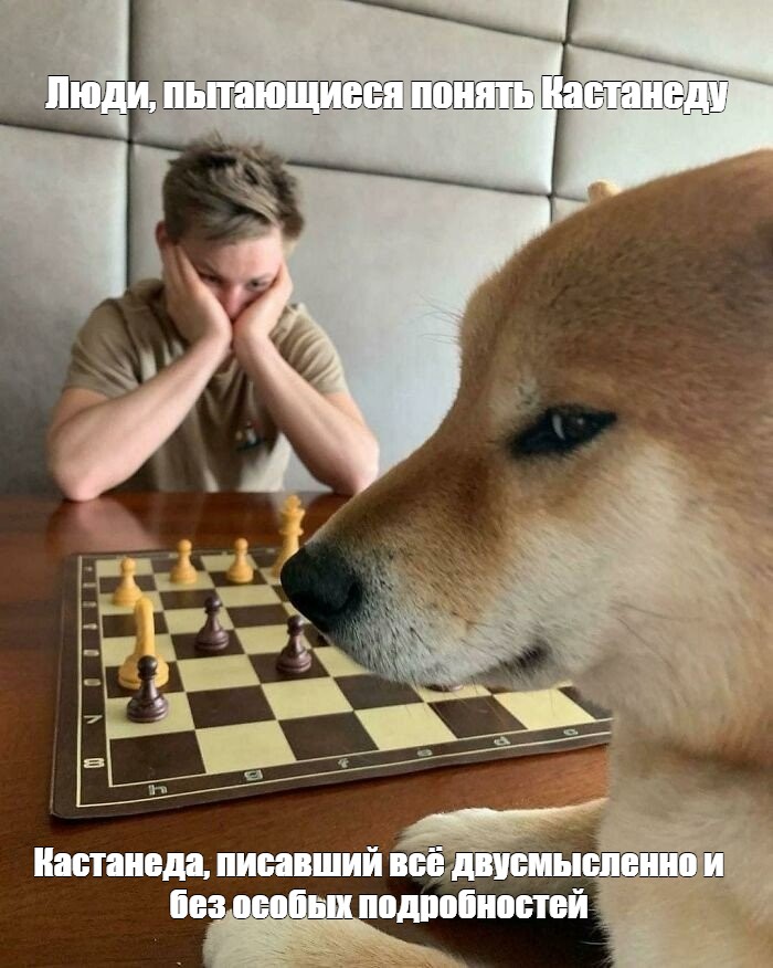 что такое внутренний диалог Кастанеда