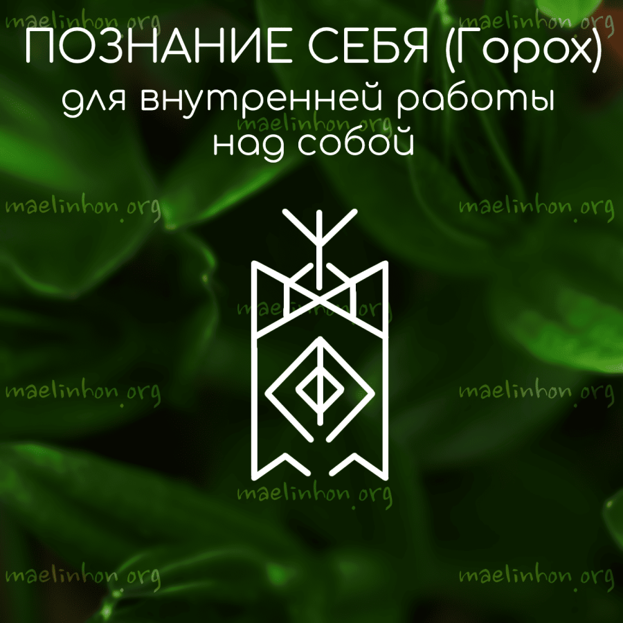 руностав познай себя